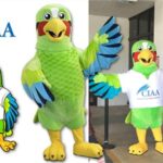 Custom Mascot Costumes and Mascot Clothes in Singapore