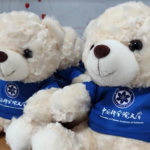 custom soft toy singapore, wahmee.com.sg, Bear China