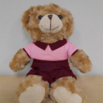 custom soft toy singapore, wahmee.com.sg, Bear uniform